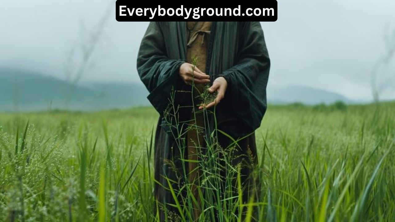 Grounding Principles in Chinese Medicine