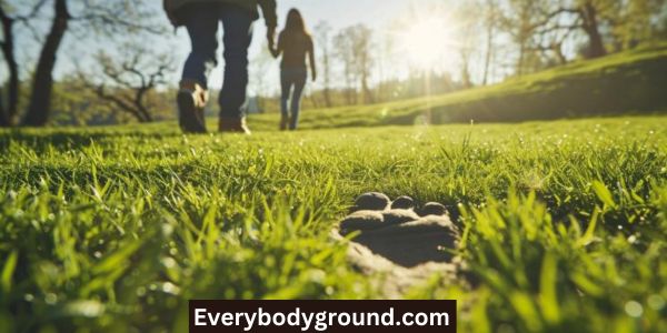 Grounding and Fertility Science